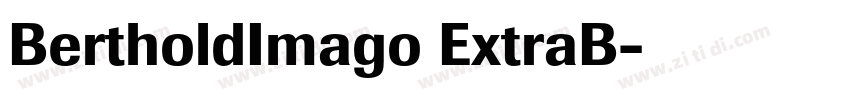 BertholdImago ExtraB字体转换